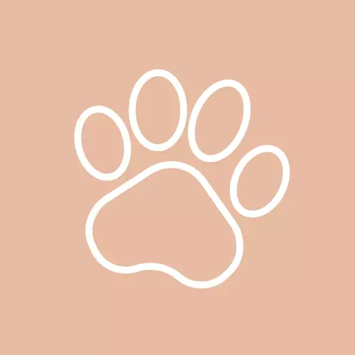 Icon depicting a dogs paw print on a dark beige background.