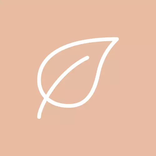 Icon depicting a leaf on a dark beige background.
